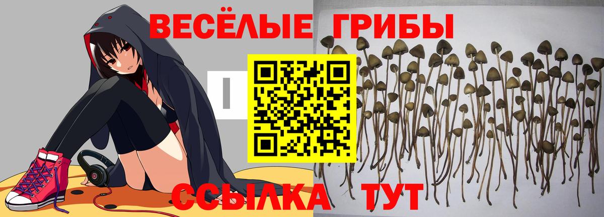Галлюциногенные грибы ЛСД  Вход с VPN  Санкт-Петербург 